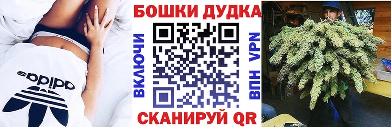 Каннабис SATIVA & INDICA  купить наркотик  Медногорск 